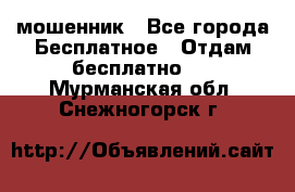 мошенник - Все города Бесплатное » Отдам бесплатно   . Мурманская обл.,Снежногорск г.